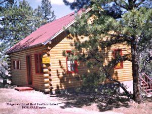 Magee Cabin for Sale